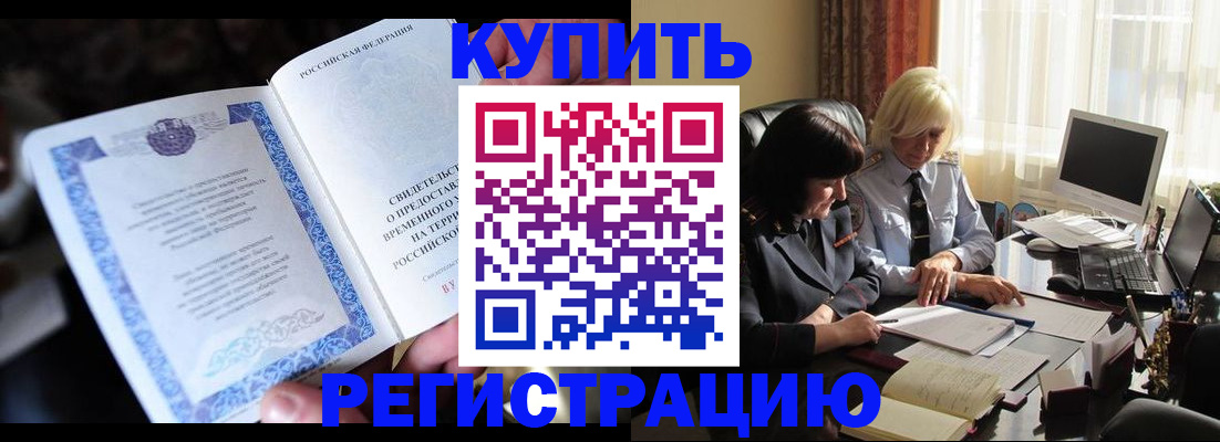 прописка поиск в Камышине